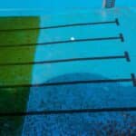 tipos de algas en piscinas piscinas plaza zaragoza algas verdes destacada